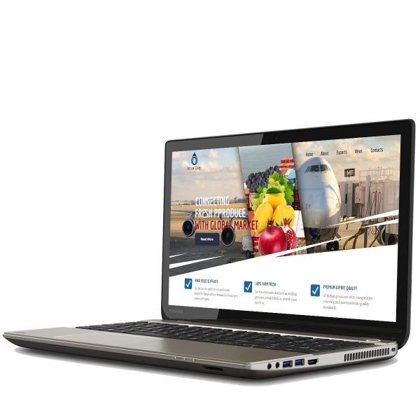 website design development