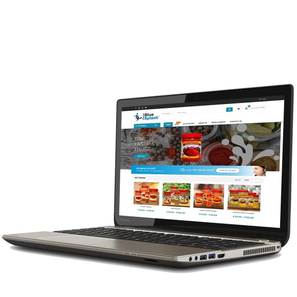 Business Package - eCommerce