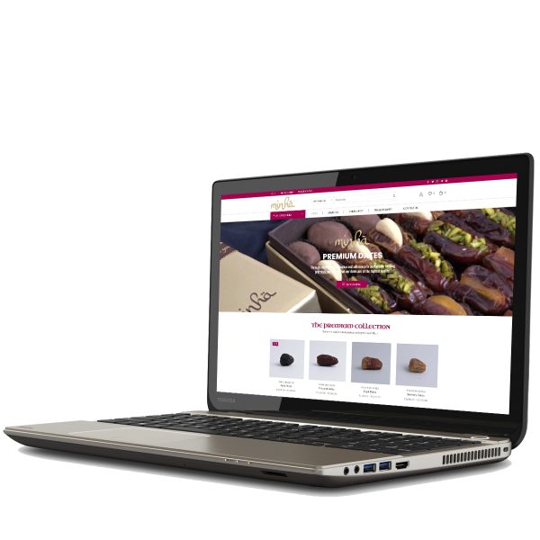 eCommerce Web Development: Professional Package
